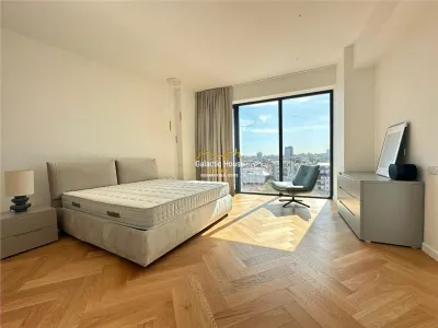 PENTHOUSE/DUPLEX SPECTACULOS PIATA VICTORIEI -300 MP - foto 9