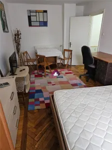 Inchiriere Garsonierea Teiul Doamnei - foto 3