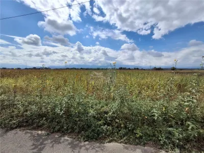 Teren extravilan 15000mp drum asfaltat zona Selimbar - foto 2
