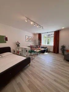 Apartament cu o camera pivnita zona Centrala - foto 5