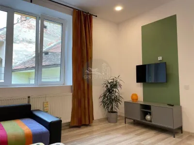Apartament cu o camera pivnita zona Centrala - foto 7