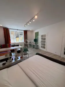 Apartament cu o camera pivnita zona Centrala - foto 10