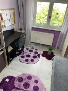 Apartament 2 camere decomandat 2 balcoane pivnita zona Garii - foto 2
