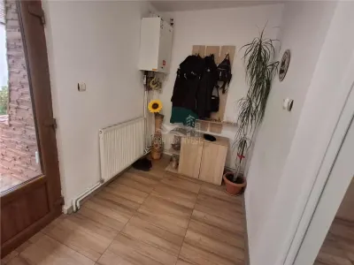 Casa formata din 2 apartamente pivnita zona Turnisor - foto 11