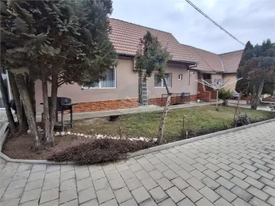 Casa formata din 2 apartamente pivnita zona Turnisor - foto 14