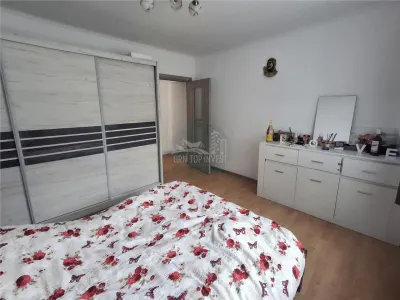 Casa formata din 2 apartamente pivnita zona Turnisor - foto 18