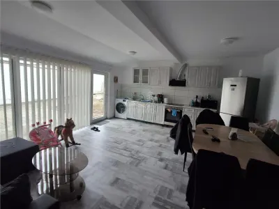 Casa formata din 2 apartamente pivnita zona Turnisor - foto 4