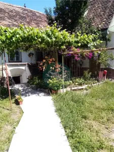 Apartament 2 camere la casa pivnita teren Zona Cibin - foto 12