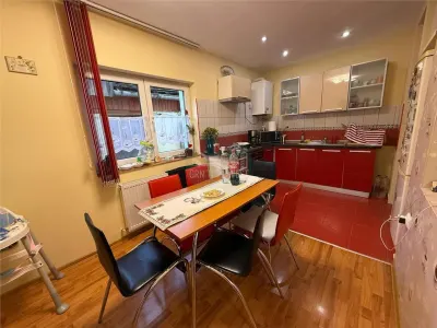 Casa individuala 5 camere 2 bai zona Terezian - foto 2