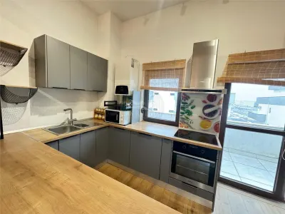 Penthouse 4 camere 2 balcoane terasa 20 mp zona Doamna Stanca - foto 19