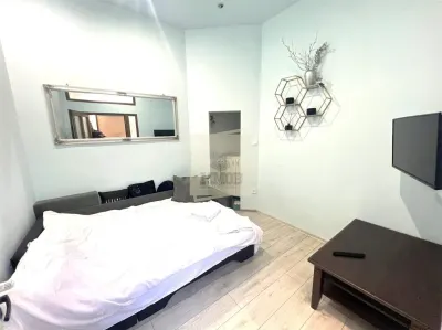 Afacere in exclusivitate cu 2 apartamente in regim hotelier Str 9 Mai - foto 6