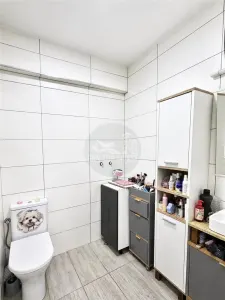 Apartament 3 camere 2 bai parcare subterana zona Turnisor - foto 14