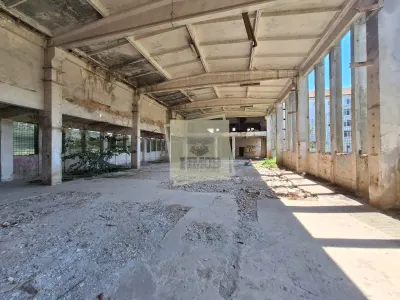 Spatiu comercial/industrial cu destinatie multipla in Strand - foto 3