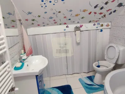 Casa individuala 5 camere terasa acoperita 3 bai si 458 mp teren in Cristian - foto 21