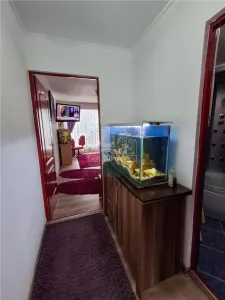 Apartament cu o camera 50mp gradina parcare zona Terezian - foto 4