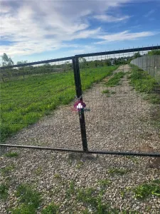 Teren 5600 mp Snagov Lac - foto 6