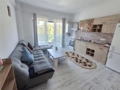 Apartament 2 camere balcon si loc parcare zona Doamna Stanca - foto 3