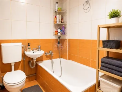 Apartament 2 camere la etajul 1 zona Tiglari - foto 8