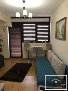 Copou, Apartament 1 camera, Exclusive Residence - foto 7