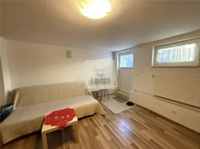 Casa mobilata 4 camere 2 bai si garaj in Turnisor - foto 5