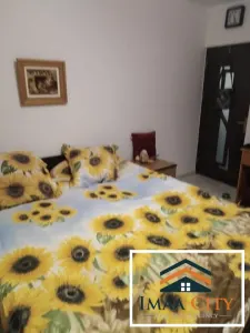 Apartament 3 camere,100 mp, Pacurari - foto 10