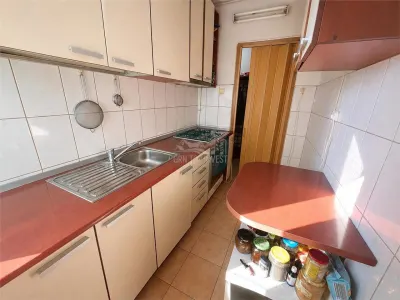 Apartament 2 camere etaj intermediar zona Vasile Aaron - foto 8