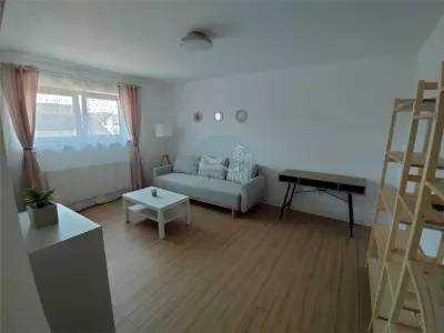 Apartament decomandat cu 2 camere zona Doamna Stanca - foto 2