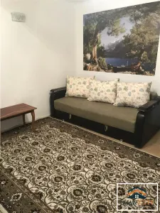 Apartament 1 camera, Podul de Piatra - foto 3