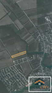 Teren vanzare, 64395 mp, Tamasi, Ostratu - foto 4