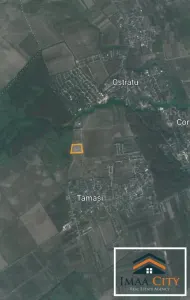 Teren vanzare, 64395 mp, Tamasi, Ostratu - foto 10