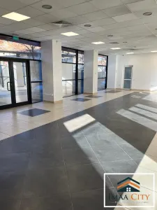 Spatiu comercial, 170 mp, zona Palas - foto 4