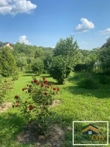 Teren Rediu, 3000 mp - foto 3