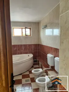Vila 400 mp, Copou - foto 2