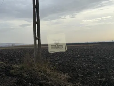 Teren extravilan in EXCLUSIVITATE 20300 mp in Sura Mica - foto 3
