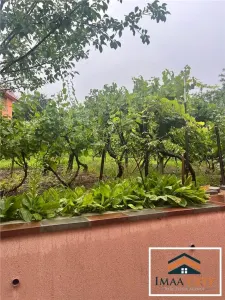 Vila Bucium, vis a vis de Lidl - foto 4