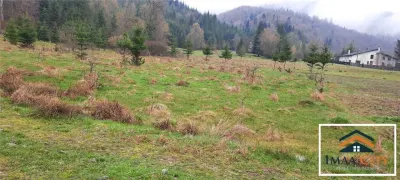 Teren intravilan de vânzare – Malini, Suceava - foto 5