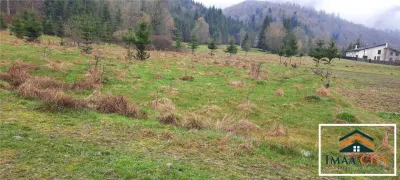 Teren intravilan de vânzare – Malini, Suceava - foto 6