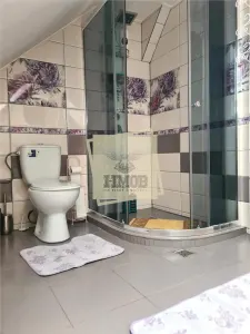 Casa 8 camere 6 bai 450 mp teren in zona Terezian - foto 17