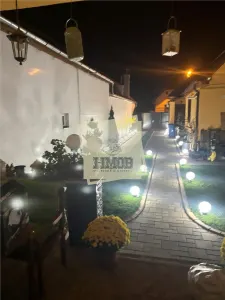 Casa 8 camere 6 bai 450 mp teren in zona Terezian - foto 10