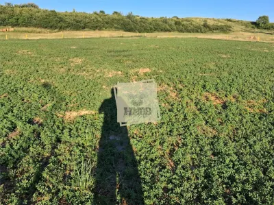 Teren Intravilan cu utilitati si proiect casa Bungard - foto 3
