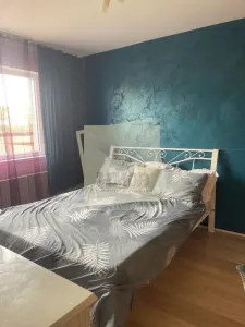 Casa cu 4 camere 3 bai si terasa in Sura Mare - foto 2
