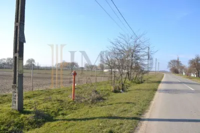 Vanzare Teren intravilan, 5600 mp in Mircea Voda - Dambovita. - foto 5