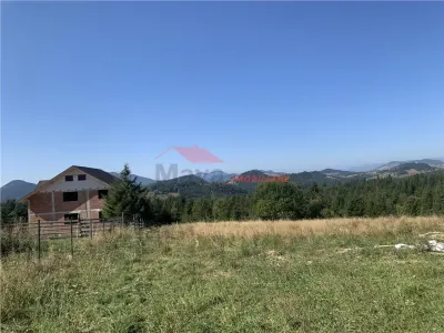 20 ari teren intravilan, Piatra Fantanele - foto 1