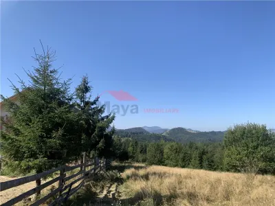20 ari teren intravilan, Piatra Fantanele - foto 3