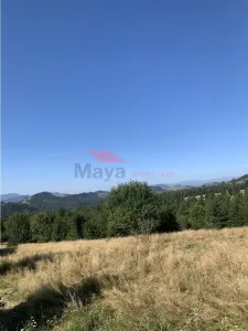 20 ari teren intravilan, Piatra Fantanele - foto 4