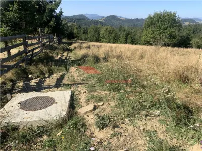 20 ari teren intravilan, Piatra Fantanele - foto 9