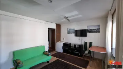Centrul Civic, garsoniera mobilata si utilata - 369  Euro/luna - foto 5