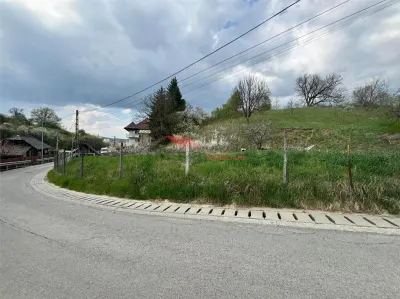 Teren intravilan 31 ari, Valea Budacului - foto 1