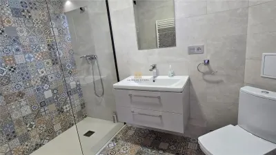 CASĂ DE VACANȚĂ ȘI PROPRIETATE TURISTICĂ ÎN DORNA ARINI  LÂNGĂ VATRA DORNEI COMISION 0 - foto 14