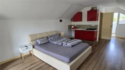 CASĂ DE VACANȚĂ ȘI PROPRIETATE TURISTICĂ ÎN DORNA ARINI  LÂNGĂ VATRA DORNEI COMISION 0 - foto 22